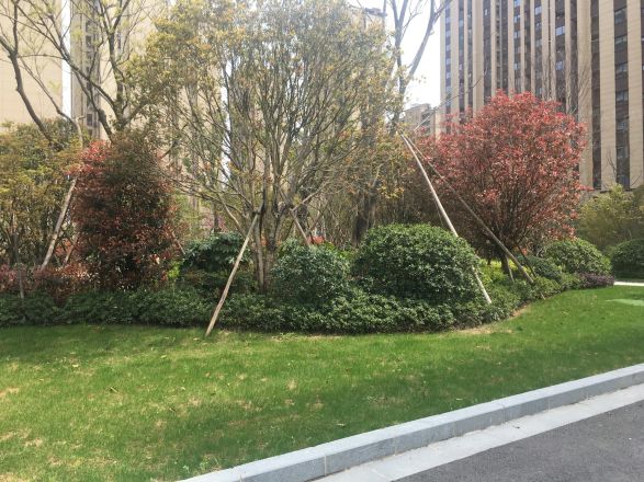 招商雍景湾（御江花苑）实景图