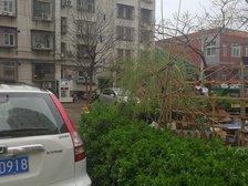 莲怡园一区2室1厅南北