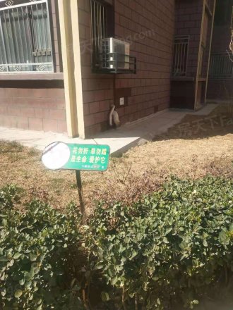 四合欣园实景图