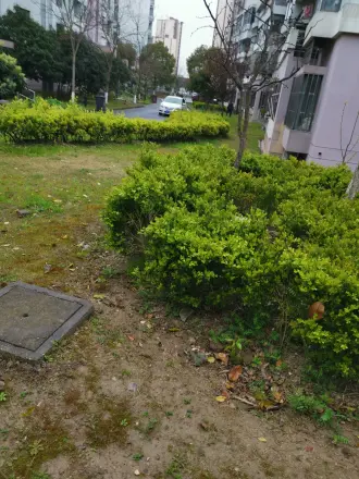 祥安兰苑