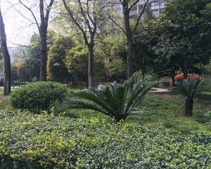 锦城华府 2室1厅 西北