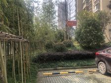 书包房,带下室,看房随时方便,诚意出售