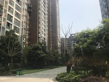 西财学府憬城3室1厅东南南