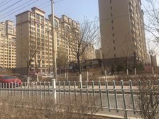 保利拉菲 三室 产权清晰 无抵押 看房提前联系