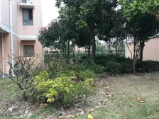 新上南北通大两房,房龄新小区环境好诚意卖采光无遮挡