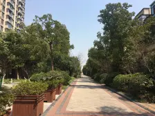 三湘森林海尚高楼层3房2卫,满5年,楼层景观好