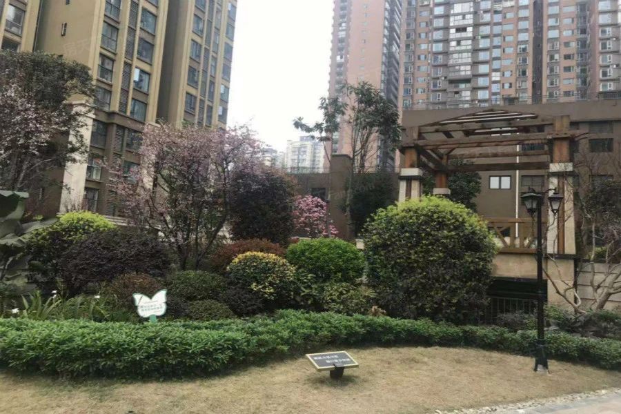 小区相关图