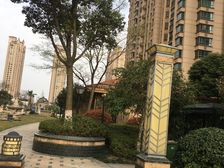 中南世纪城 小高层大平层 精装5房 666