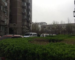 文体路乙11号院3室1厅南东