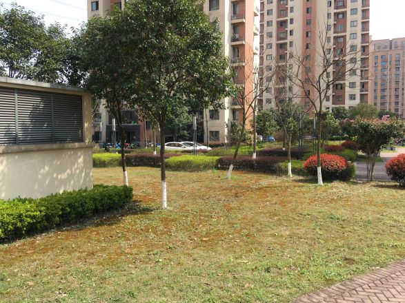崧泽华城逸泰雅苑实景图