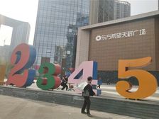 东方希望天祥广场 3室2厅 东