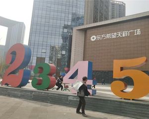 东方希望天祥广场 6室2厅 南