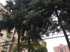 江湾 · 奎照路790弄 · 2室 · 0厅