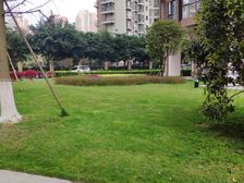 地铁首座3室2厅西南
