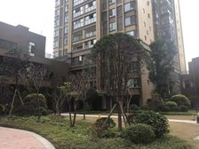 星光华印象3室1厅西南