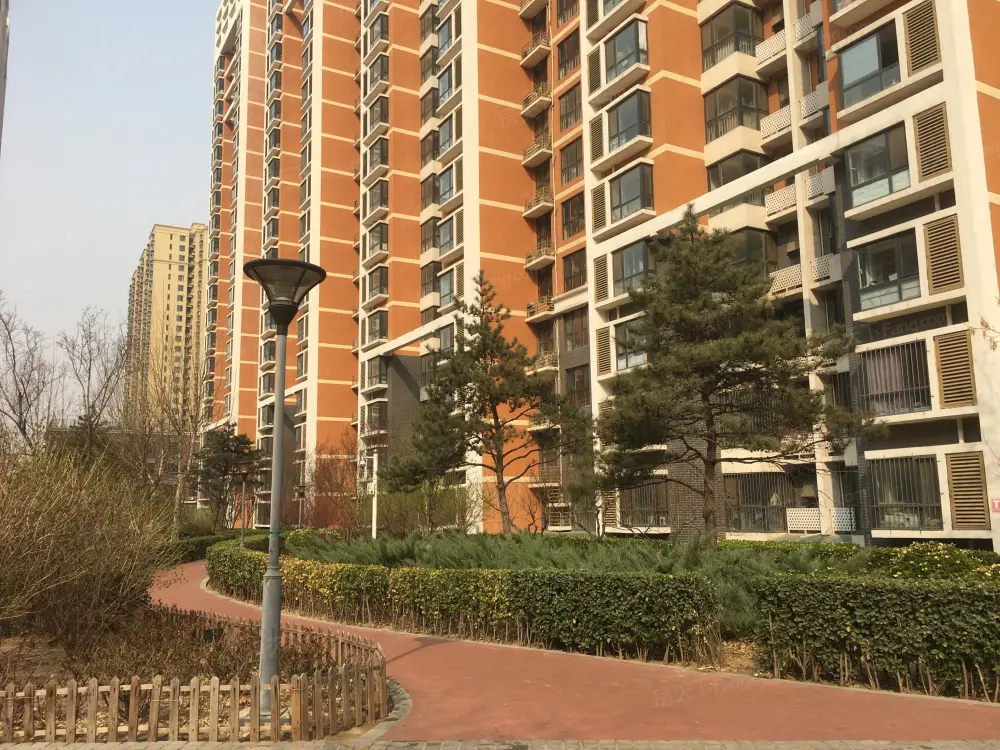 实景图