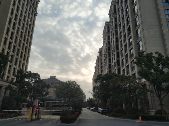 东方鸿璟实景图