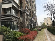 桐墅湾精装修四房 满五年户型好双卫采光好