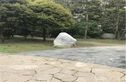 核桃小区实景图