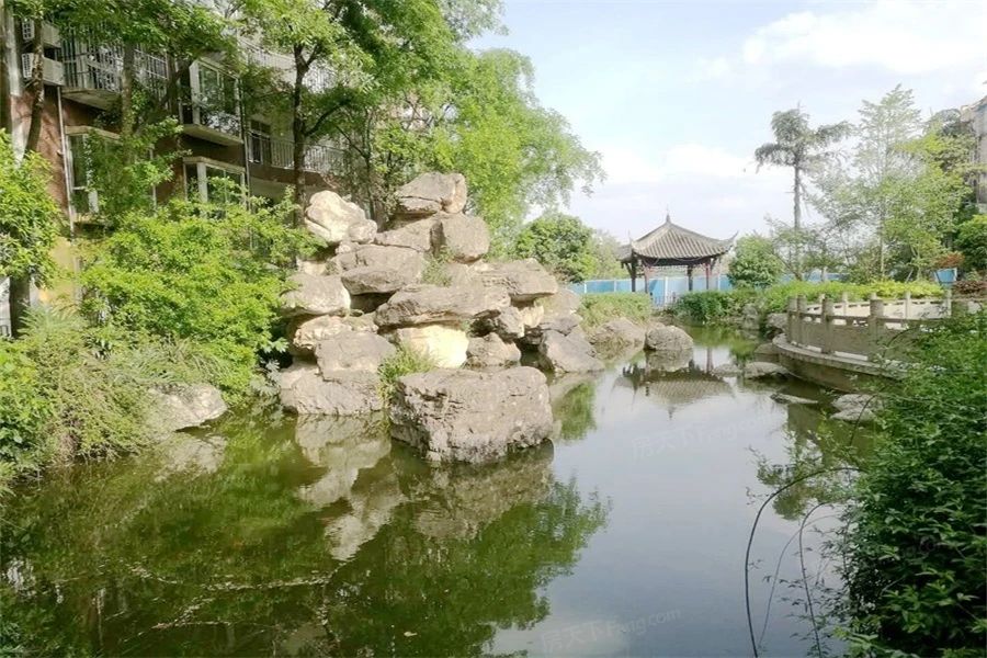 小区相关图