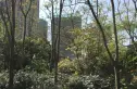 绿地锦天府别墅实景图