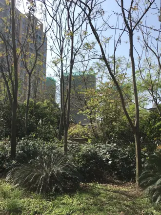 绿地锦天府别墅实景图