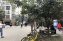 核桃小区实景图