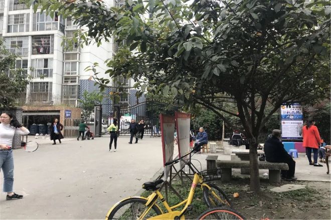核桃小区实景图