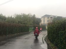 雅鹿新苑二期2室2厅南