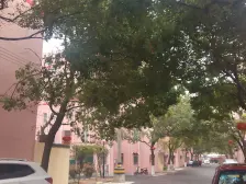 外环内,全南两房,采光通风好,价格便宜