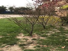 卧龙谷玖号 4室2厅 西