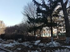 省二朝阳拎包入住有钥匙随时看房