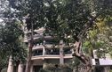 珠江帝景苑赏湖轩实景图