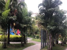 南沙自贸区,配套成熟,出入方便,办公氛围好