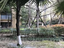丽都世家B区 3室1厅 东南 西北