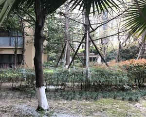 丽都世家B区1室1厅东南