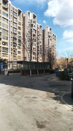 泰河园四里一区实景图