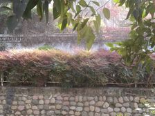 和贵蜜巢 1室1厅 南 西南