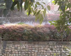 和贵蜜巢1室1厅南西南