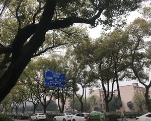 小区新,刚交付,电梯房,环境好