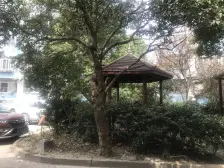 人总是在无能为力的时候碰上心爱的电梯房