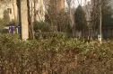 青塔西里6号院实景图