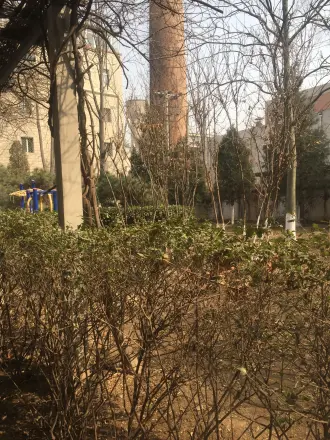 青塔西里6号院实景图