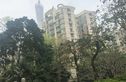 珠江帝景苑赏湖轩实景图