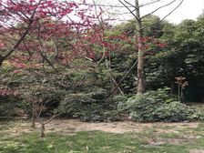 上东阳光美悦林 2室2厅 西南