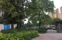 金阳华府实景图