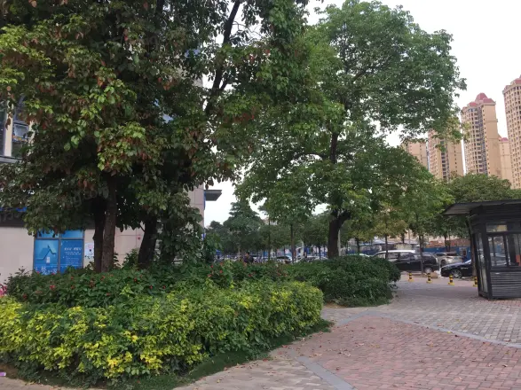 金阳华府实景图