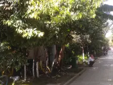 桐梓林壹号 3室2厅 东 西