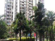 南沙城 单间户型 高楼层户型方正采光通风通透