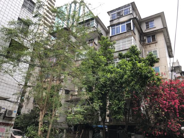 广西民委住宅区实景图